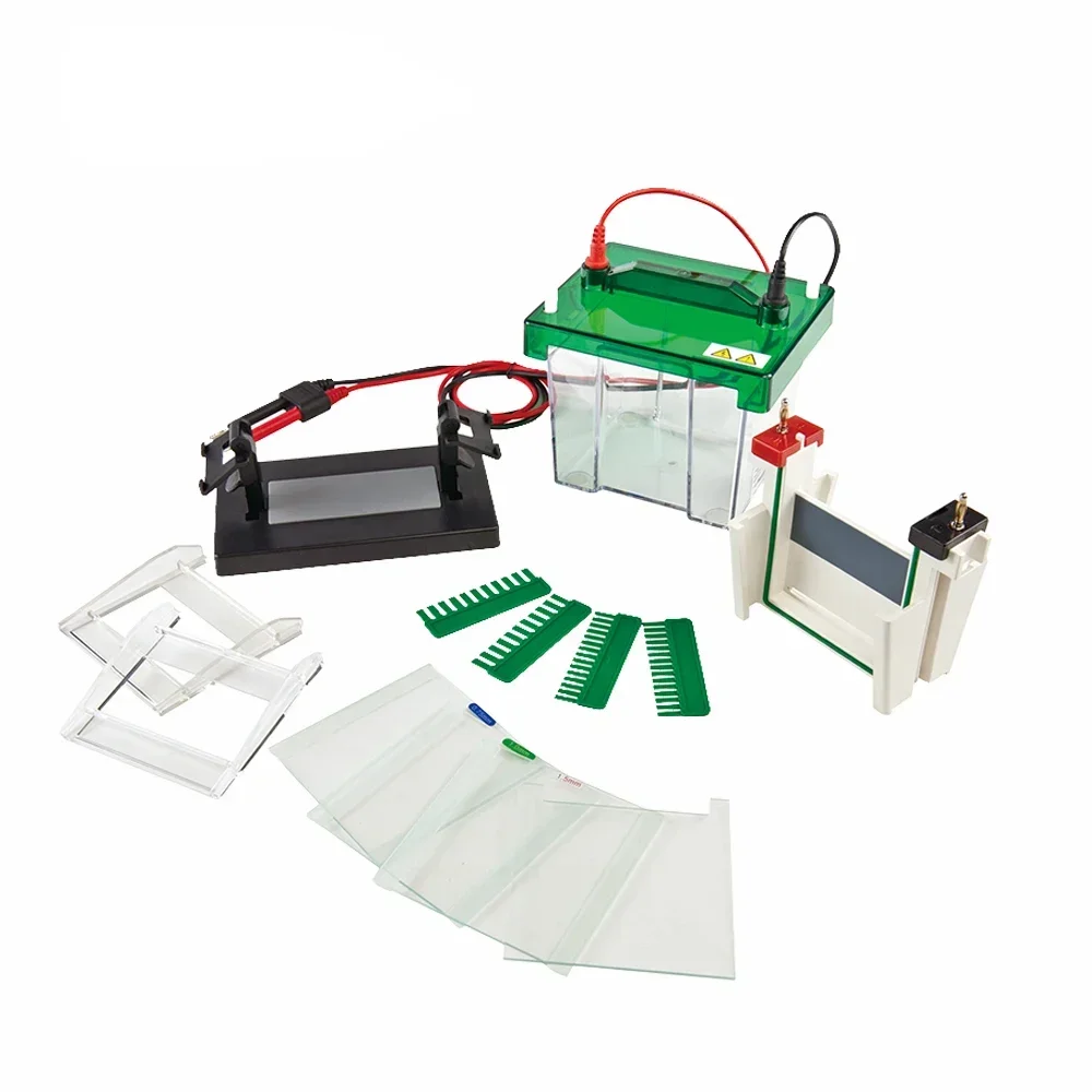 

DW-SCZ2+ Vertical Electrophoresis System