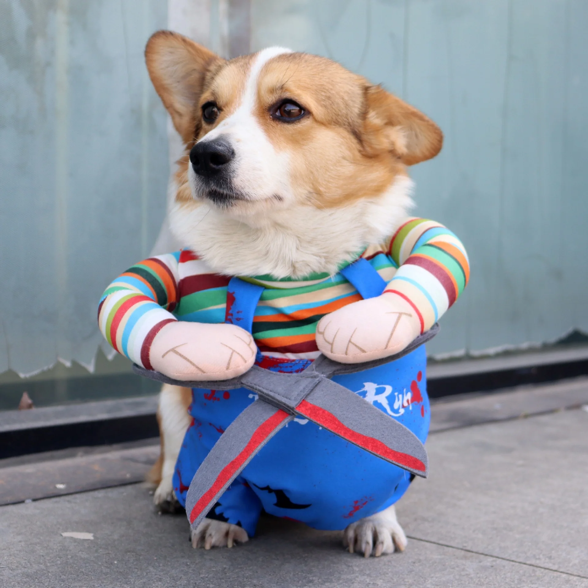 Scissors Transformation Pet Costume 4