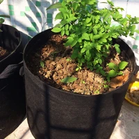 5pcs/set Felt Grow Bags Gardening Fabric Vegetable Flower Tomato Potato Planting Pots Greenhouse Garden Planting Nursery Pot 2