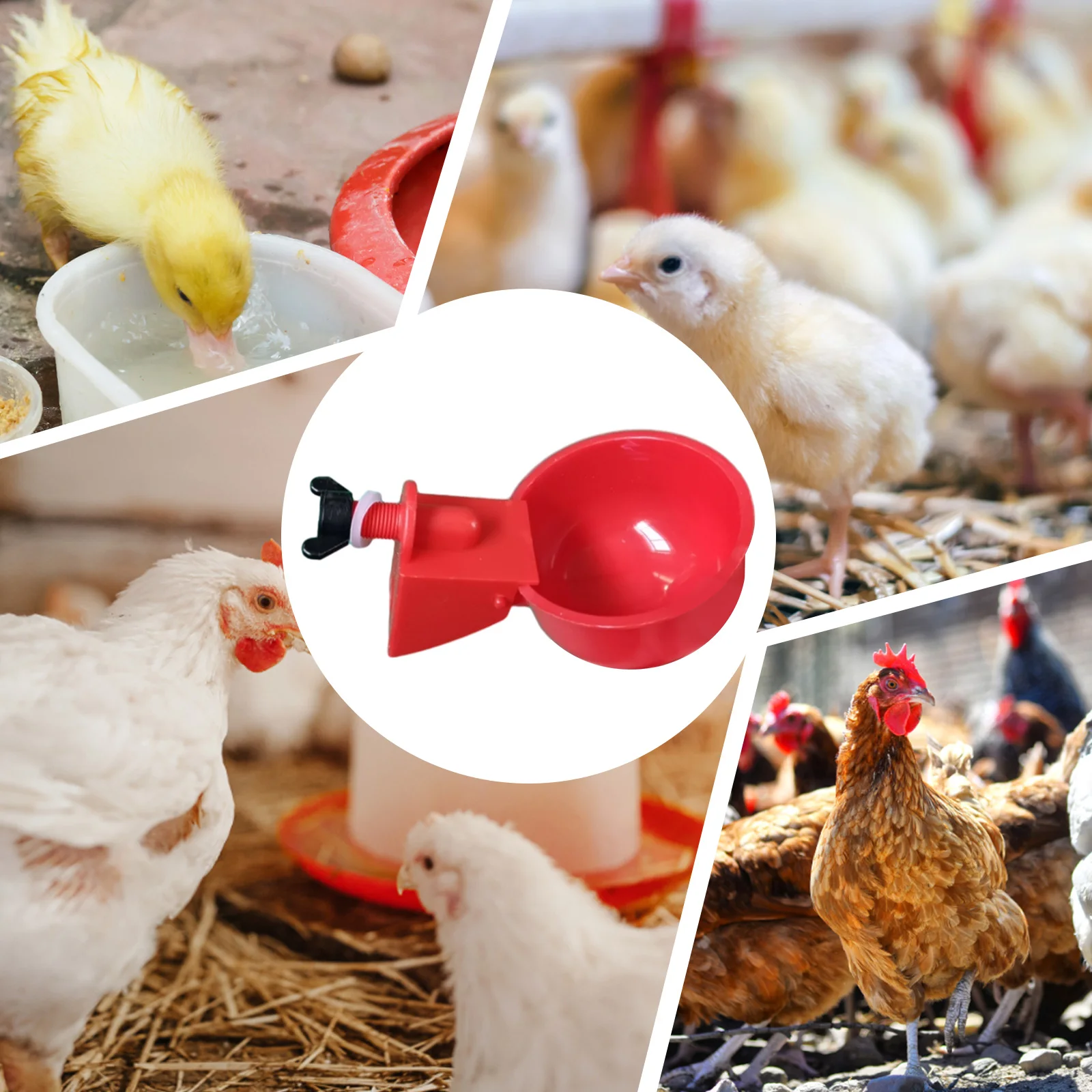 6Pcs Chicken Drinker Cup Kit Waterproof Automatic Livestock Feeding Watering Supplies Farm Animal Drinking Water Feeder