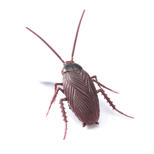Electric Crawling Cockroach Simulation Vibrate Roach Animal Kids Children Small Toy for Kids Children Gifts 2