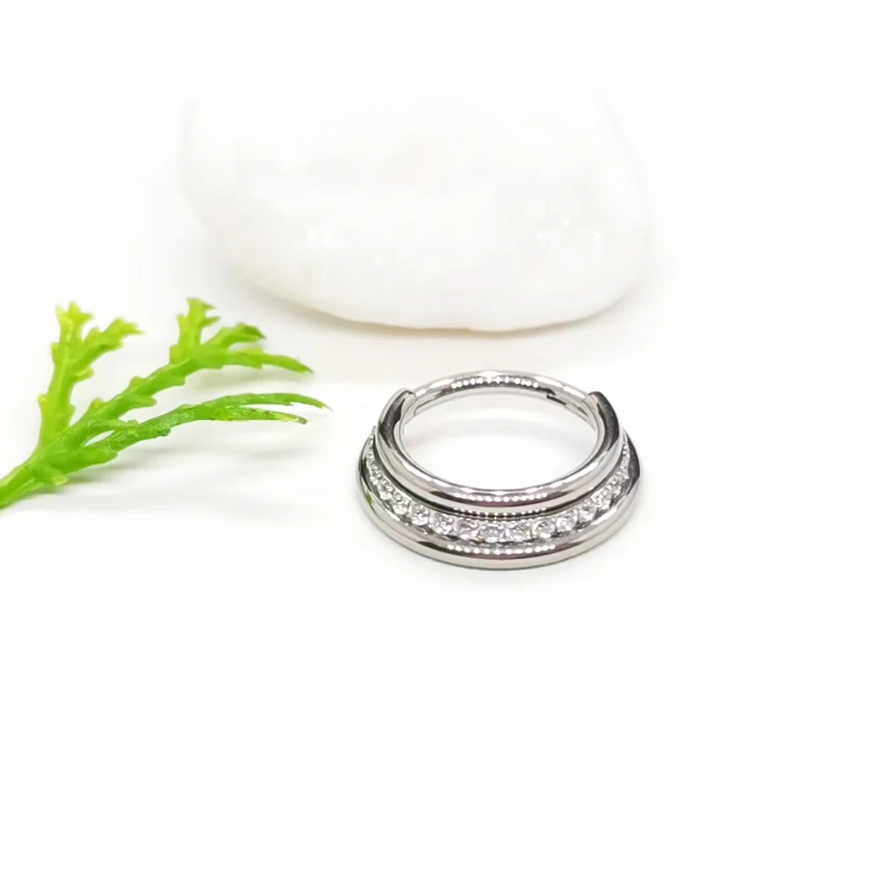Nose Piercing Septum Nose Rings Zircon Hight Segment Clicker Hoop Ear Cartilage Tragus Piercing Earrings G23 Titanium Jewelry