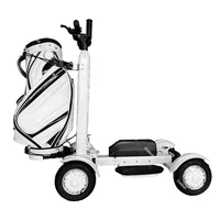 Scooter électrique puissant pour le golf, 10 pouces, pour adultes, double moteur, pliable, batterie amovible, démarrage par mot de passe 2