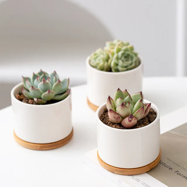 8x6cm Mini Flowerpot Simple White Ceramic Round Bottom Flowerpot For Succulent Plant Cactus Cute Gardening Planting Supplies 3