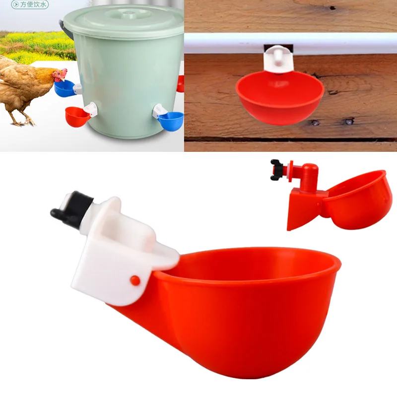 AutomaticChickenDrinkerBowlDuckDrinkingCupChickenFeederPlastic