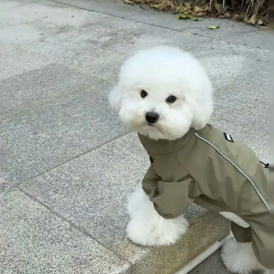 네발용 전신 방수 강아지 우비, 방수 강아지 코트, 강아지 비옷, 조절 가능한 강아지 방수 의류