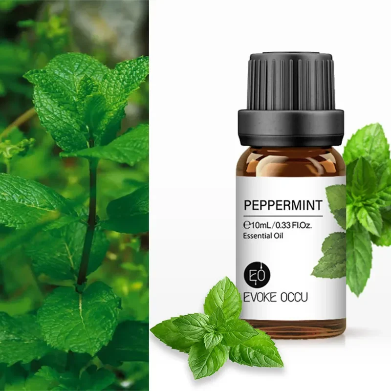 Nature Peppermint Essential Oil Organic Aromatherapy mint Oils for Diffuser Perfume Soap Candle car diffuser mosquitoes repel