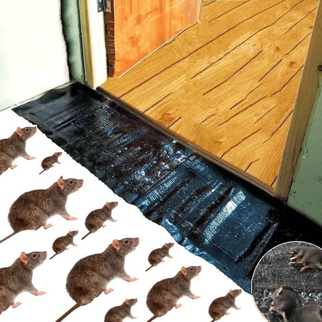Piège à Souris Collant de 1.2m, pour Attraper les Rats - AliExpress