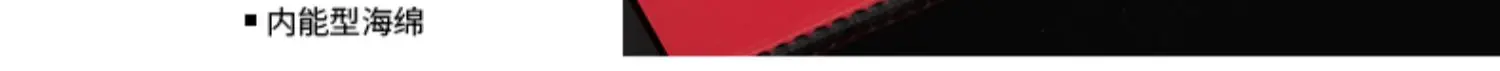 LOKI ARTHUR EUROPE DIAMOND Tischtennis-Gummiplatte, ITTF-zugelassener, nicht klebriger Ping-Pong-Gummi mit Carbon-Kuchenschwamm, Pips-in – Detail 6
