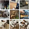 Natural Dog Chew Toy Bone Molar Stick Bite Resistant Puppy Teething Toys Indestructible Small Medium Large Snack Food Pet Toy 3