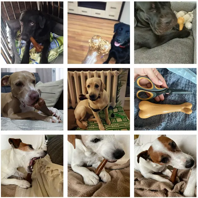 Natural Dog Chew Toy Bone Molar Stick Bite Resistant Puppy Teething Toys Indestructible Small Medium Large Snack Food Pet Toy 3