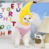 Cute Refined Cat Hat Elastic Autumn Winter Pet Hat Puppy Kittens Knitted Hat Party Photo Shoot Props Decoration Cat Accessories 4
