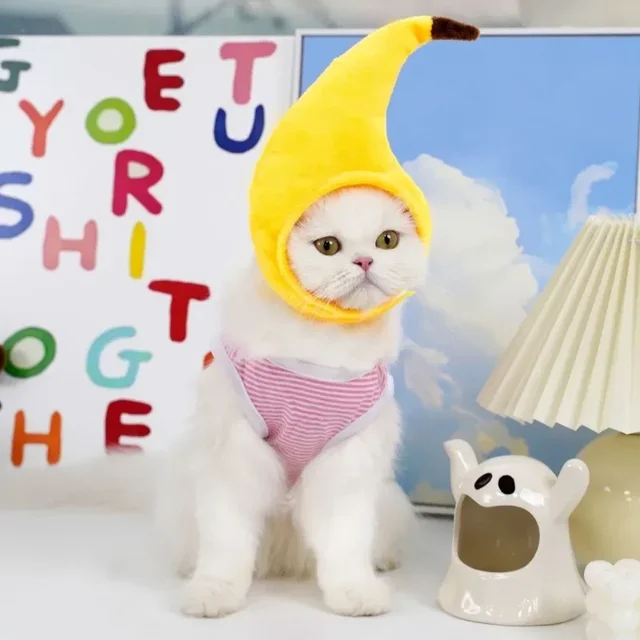 Cute Refined Cat Hat Elastic Autumn Winter Pet Hat Puppy Kittens Knitted Hat Party Photo Shoot Props Decoration Cat Accessories 4