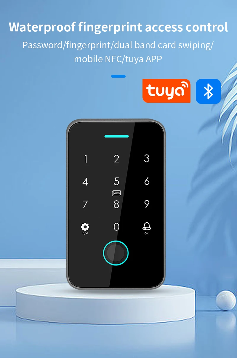 13.56Mhz Rfid Card Keypad Waterproof Tuya APP Door Lock Door Access Control Syst