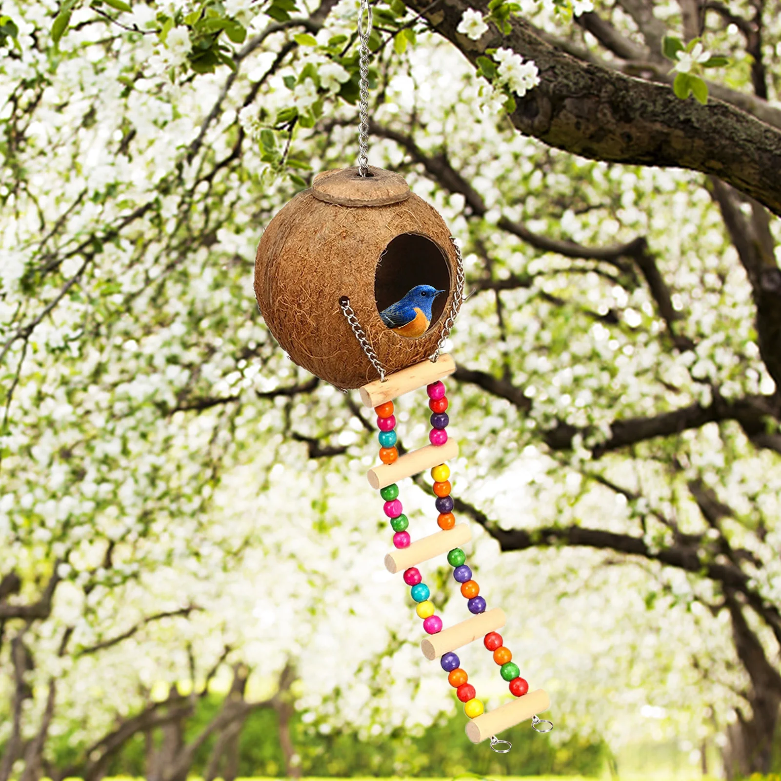 PandaHall Lot De 100 Perles Rondes Et Plates En Coquille De Noix De