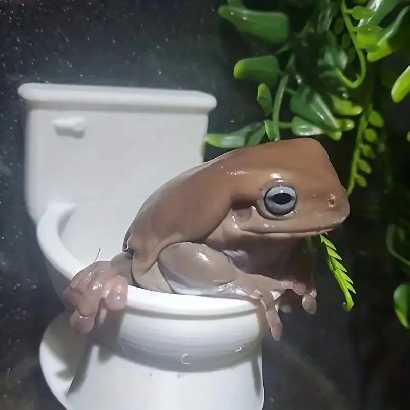 Froglet Small Animal Mini Toilet Shape Habitat Water Holder Reptile Pet Supplies