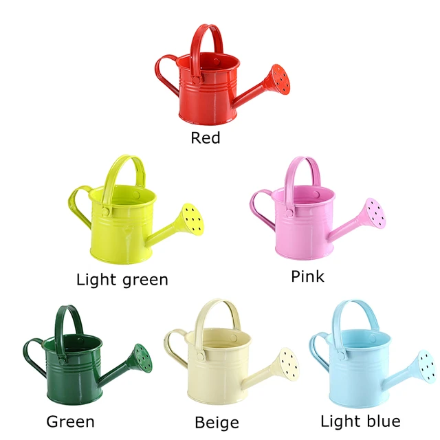 Garden Mini Vintage Flower Kettle Water Spraying Pot Metal Watering Can 5