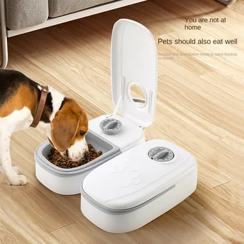 Automatic Pet Feeder and Water Bowl