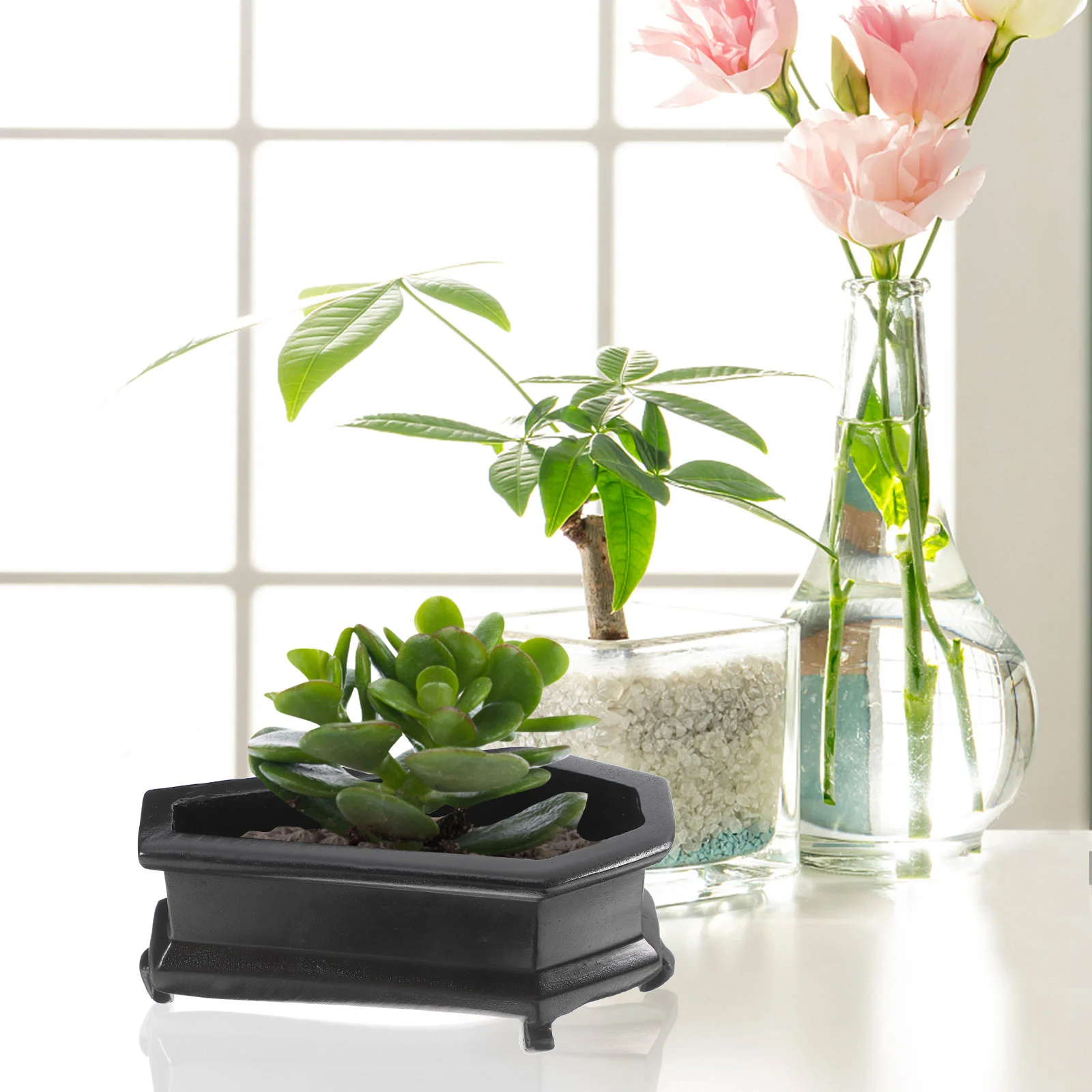 Small Coffin Flower Pot Vase Vases for Centerpieces Artificial Succulent Plants Pots Ornaments 3