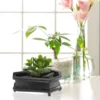 Small Coffin Flower Pot Vase Vases for Centerpieces Artificial Succulent Plants Pots Ornaments 3