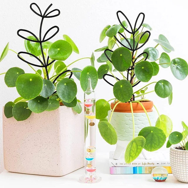 Levél Alakú Növényi Rácsos Fémhuzalt Tét Hegymászó Tartó Állvány Cserepes Növények Keret Beltéri Otthoni Kerti Dekorációhoz - Image 6