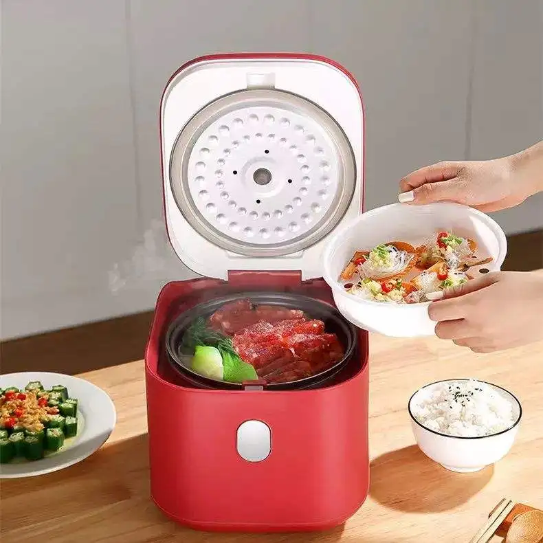 Mini Rice Cooker with Keep Warm Function