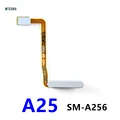 A25 Silver