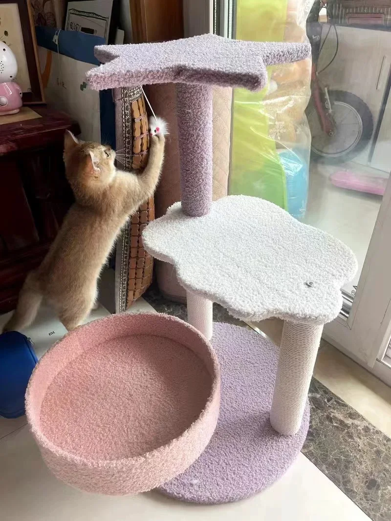 고양이 다층 등반 프레임, 고양이 스크래처 점프 플랫폼 스크래치 포스트, 고양이 보라색 놀이터, 고양이 애완 동물 용품