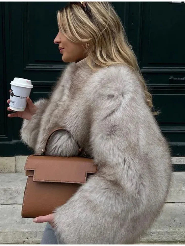 2024 Women Faux Fur Coat Autumn Winter High Quality Fluffy Short Coat Faux Fur Jacket Ladies Furry Fashion Coat 3