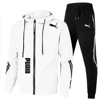 Ensemble de survêtement pour homme printemps-automne, sweat à capuche à manches longues et pantalon de jogging, 2 pièces, vêtements de sport décontractés pour la course à pied 4