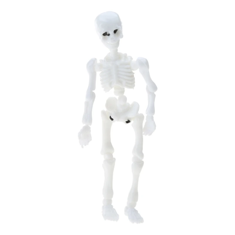 

Movable Mr. Bones Skeleton Human Model Skull Full Body Mini Figure Toy Halloween