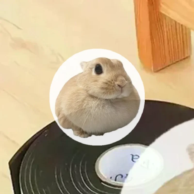 자가 접착식 가구 다리 보호 패드 미끄럼 방지 무음 매트 바닥 보호대 내마모성..