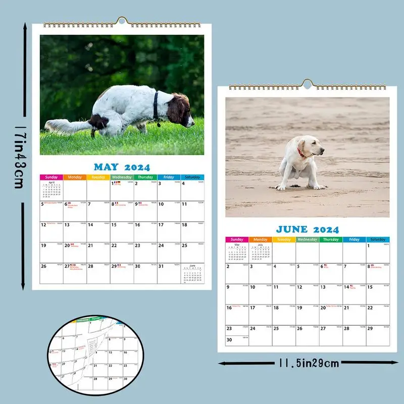 dog-pooping-calendar-2024-funny-dog-calendar-gag-gifts-dogs-pooping-in-beautiful-places-2024-calendar-dog-2024-hangable-calendar