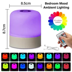 Rechargeable RGB Dimmable Touch Night Light with Remote Control (RGB)