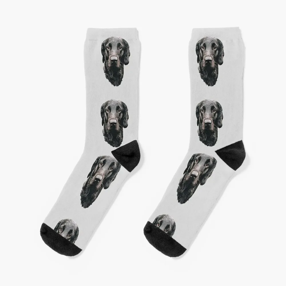 Flat Coated Retriever - Stunning Dog! Socks hiphop Running socks Cartoon characters socks japanese fashion Socks Man Women's
