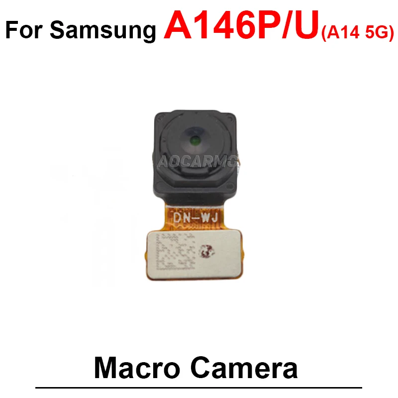 A146P--Macro