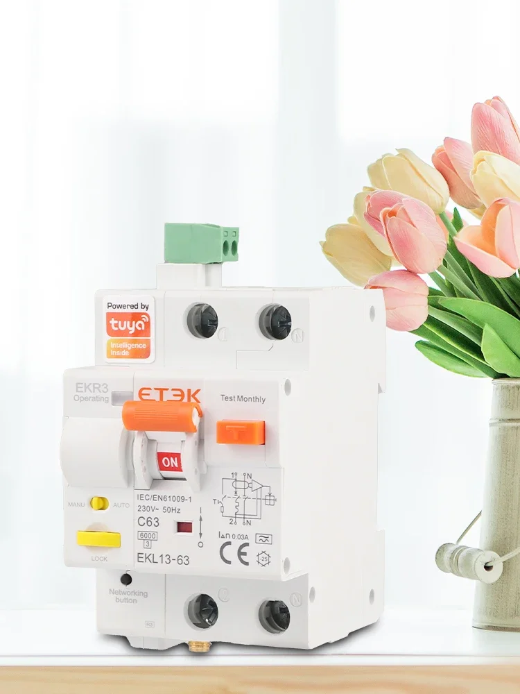 ETEK Tuya WlFl Smart circuit Breaker RCBO Smart Life Remote control short Circuit Protection Timed 2P withour metering EKR3L