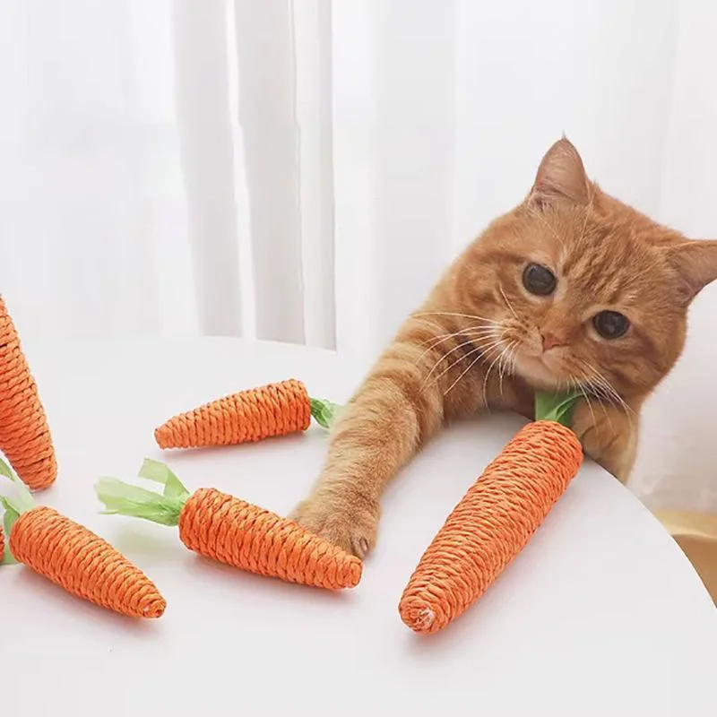Cat Toy Carrot Stick – Teething, Chew & Scratch Toy 3