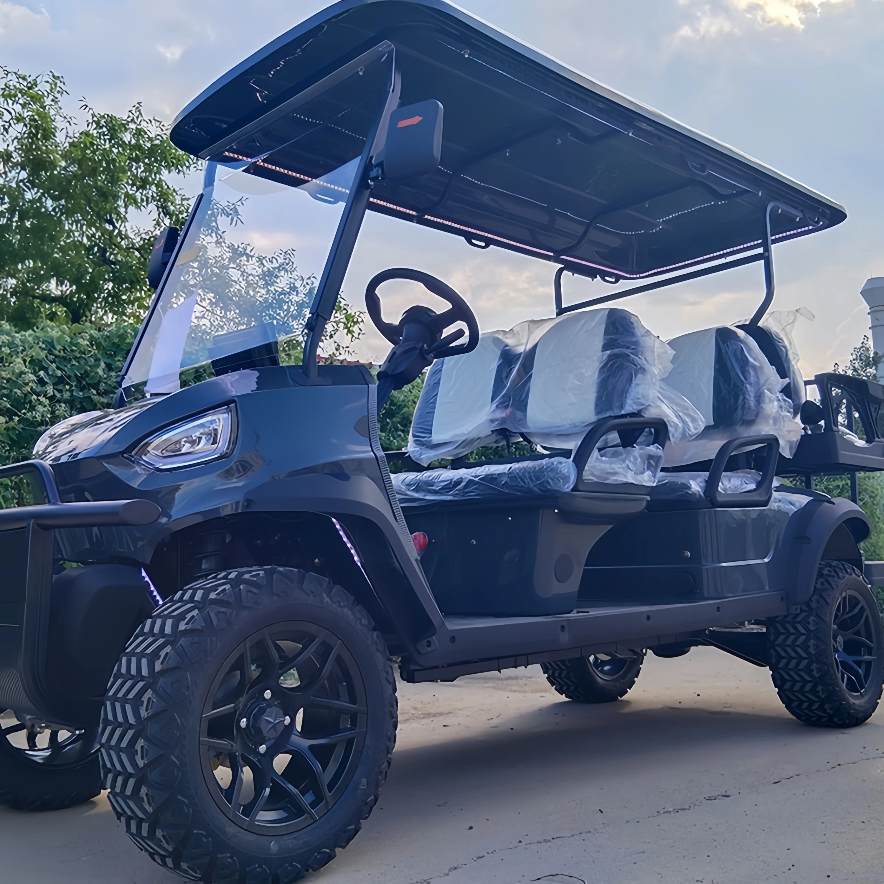 Electric Golf Cart Electric Vehicles Battery Powered Golf Carts 6 Seat Best Price