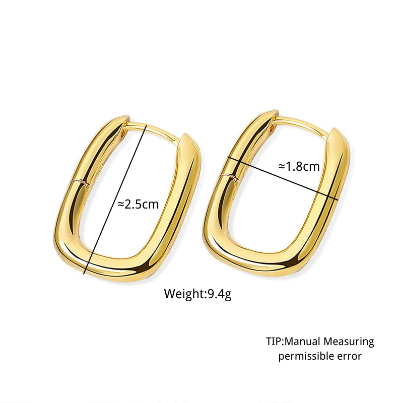 Oval Shaped Earrings for Men Women Geometric Jewelry