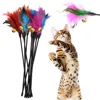 5pcs/set Cat Interactive Wand Colorful Feather Chicken Feather Cat Stick Bell Portable Creative Fashion Novelty Pet Cat Supplies 2
