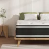 Queen Size Mattress, 14 Inch Hybrid Pillow Top Mattresses in a Box, Medium Firm Mattress for Back Pain, Fiberglass Free 1