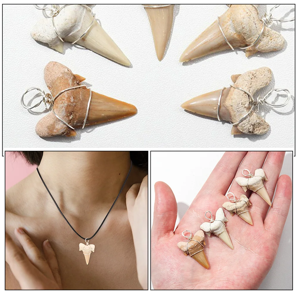 2pcs Shark Tooth Charm Necklaces Making Charms Decorative Shark Teeth Pendants Teeth Decor Charm for Crafts Necklace Making