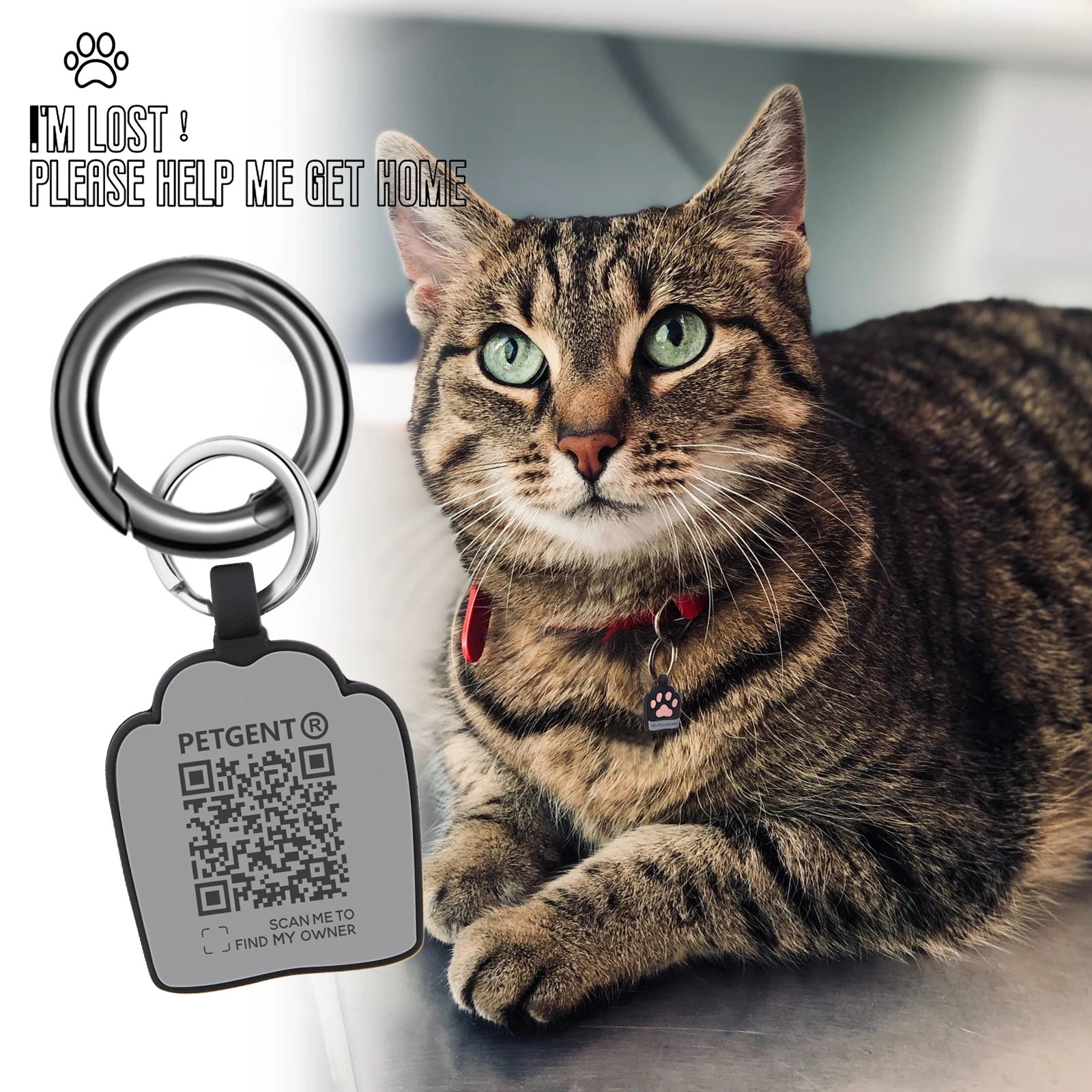 ֿϵ ID ̸ Į ± Ʈ,  QR ڵ,   ±,   , ֿϵ ׼