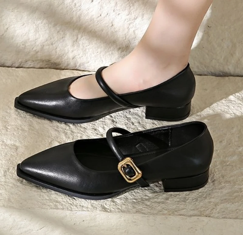 Pointed Toe High Heels Women Shoes New Chunky Dress Party Shoes 2024 Spring Summer Sandals Designer Brand Pumps Female Plus Size