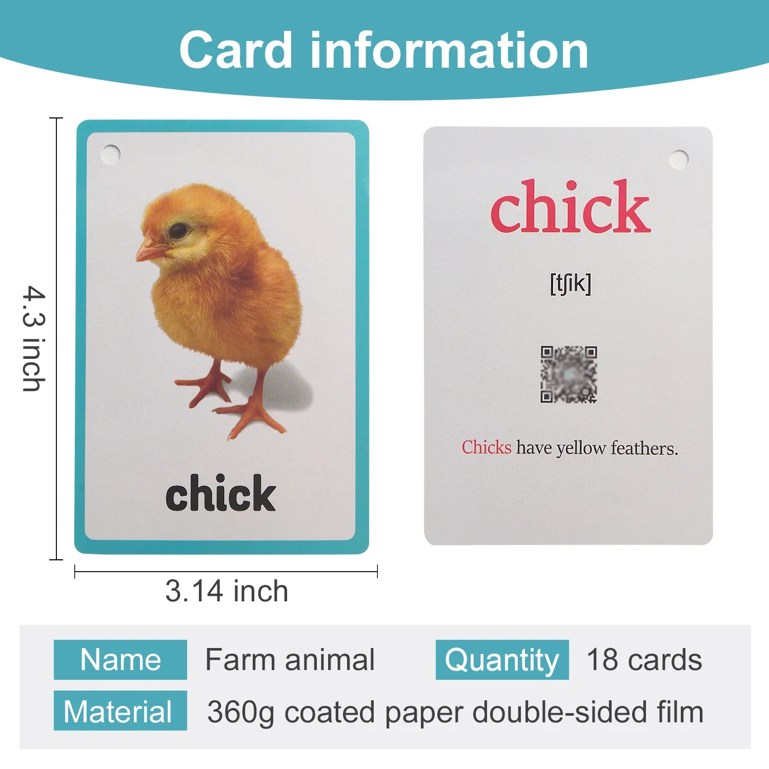 Farm Animal Wild Animals Learning English Words Cards For Kids Child Educational Toys Preschool Teaching Aids Classroom Decor 2