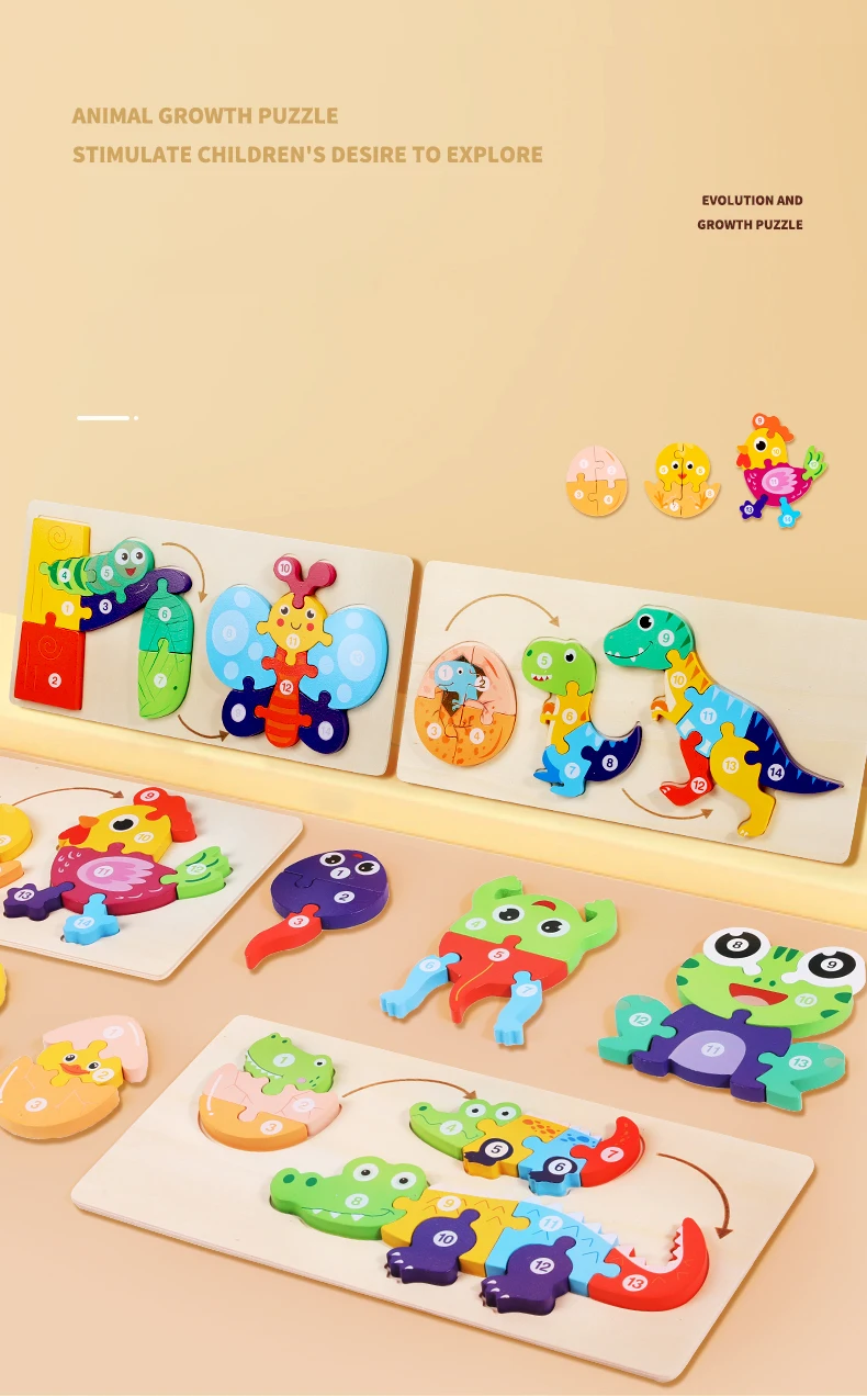 Animal Development Puzzle