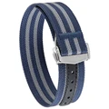Blue Gray