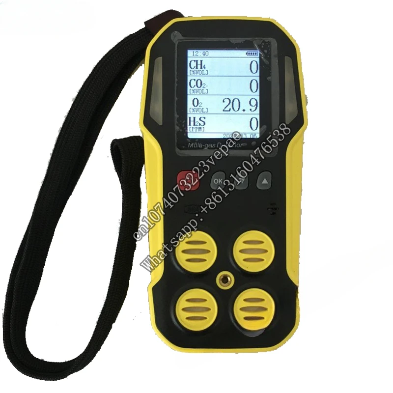 

Portable High Accuracy CH4 Biogas Methane Leak Detector CH4, CO2, H2s O2 multi gas detecting alarm