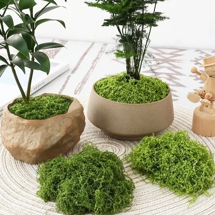 

Simulated Moss Turf Biomimetic Artificial Artificial Moss Micro Landscape Layout Decoration Lawn Bonsai Potted Plant Paving Land